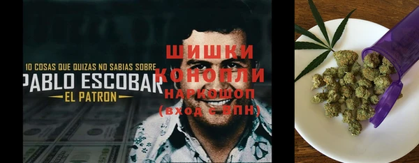 МДПВ Володарск