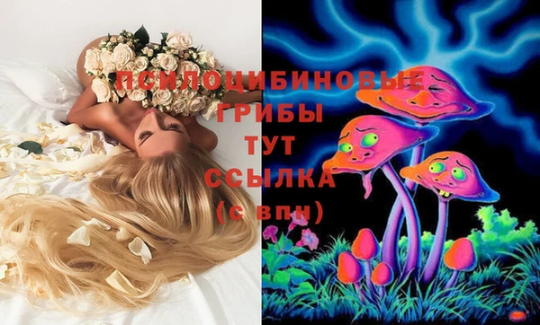 МДПВ Володарск